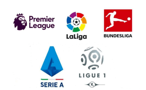 球迷们需要 球迷们需要